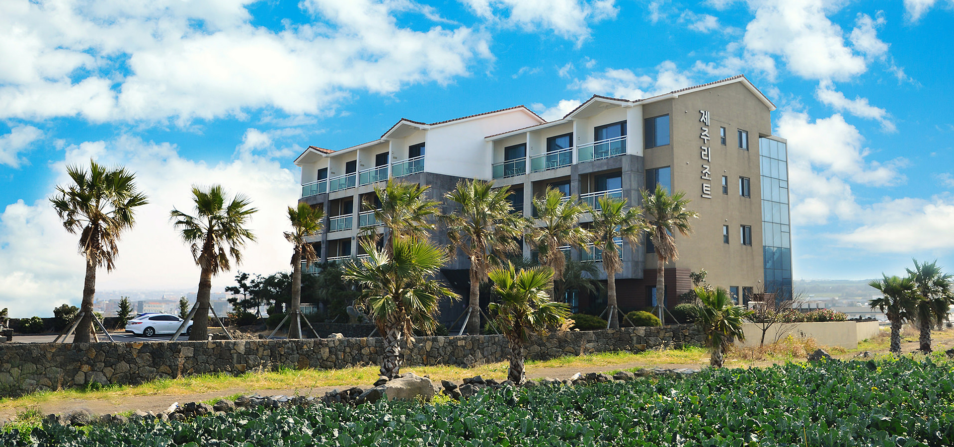 제주리조트 전경